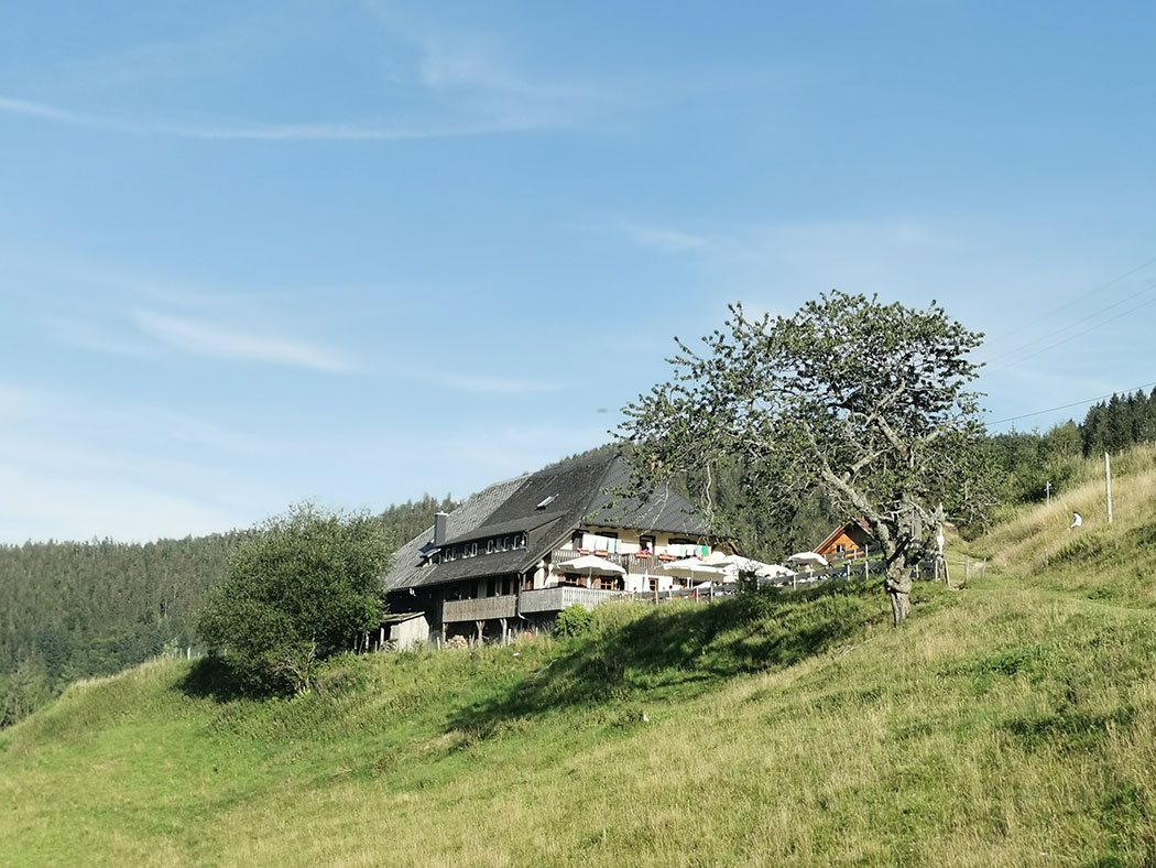 Höfener Hütte 2020